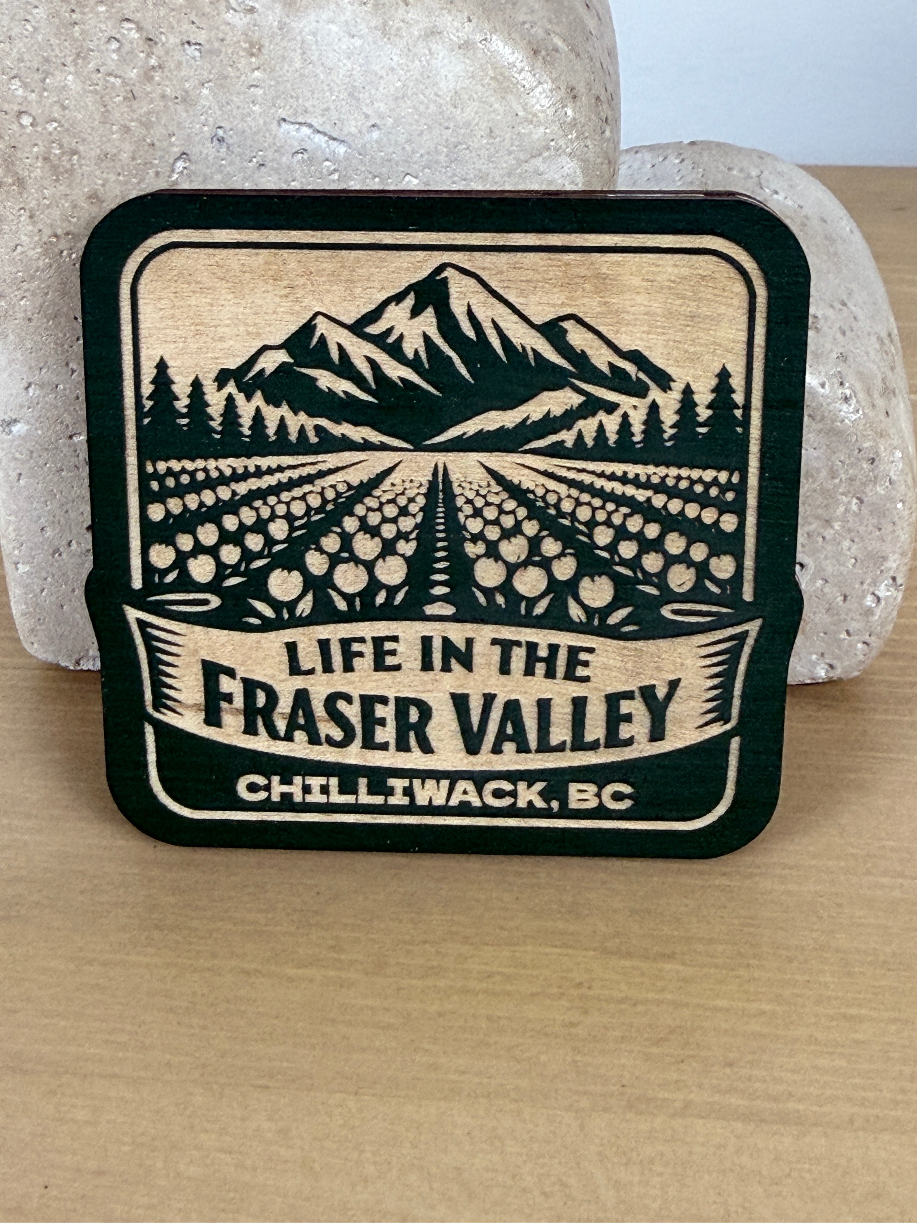 Life in the Fraser Valley Magnet - Chilliwack - Tulip Fields