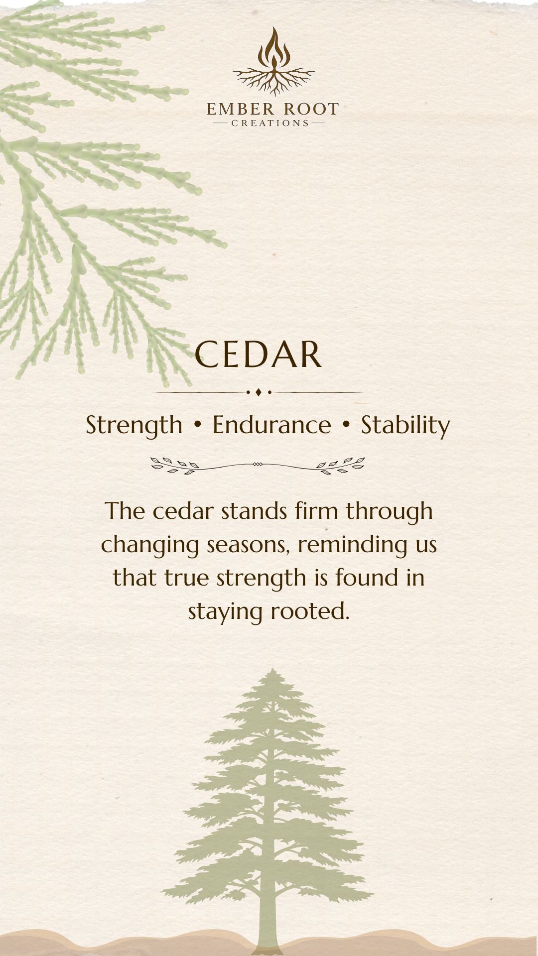 Cedar Pendant - Strength, Endurance, and Stability