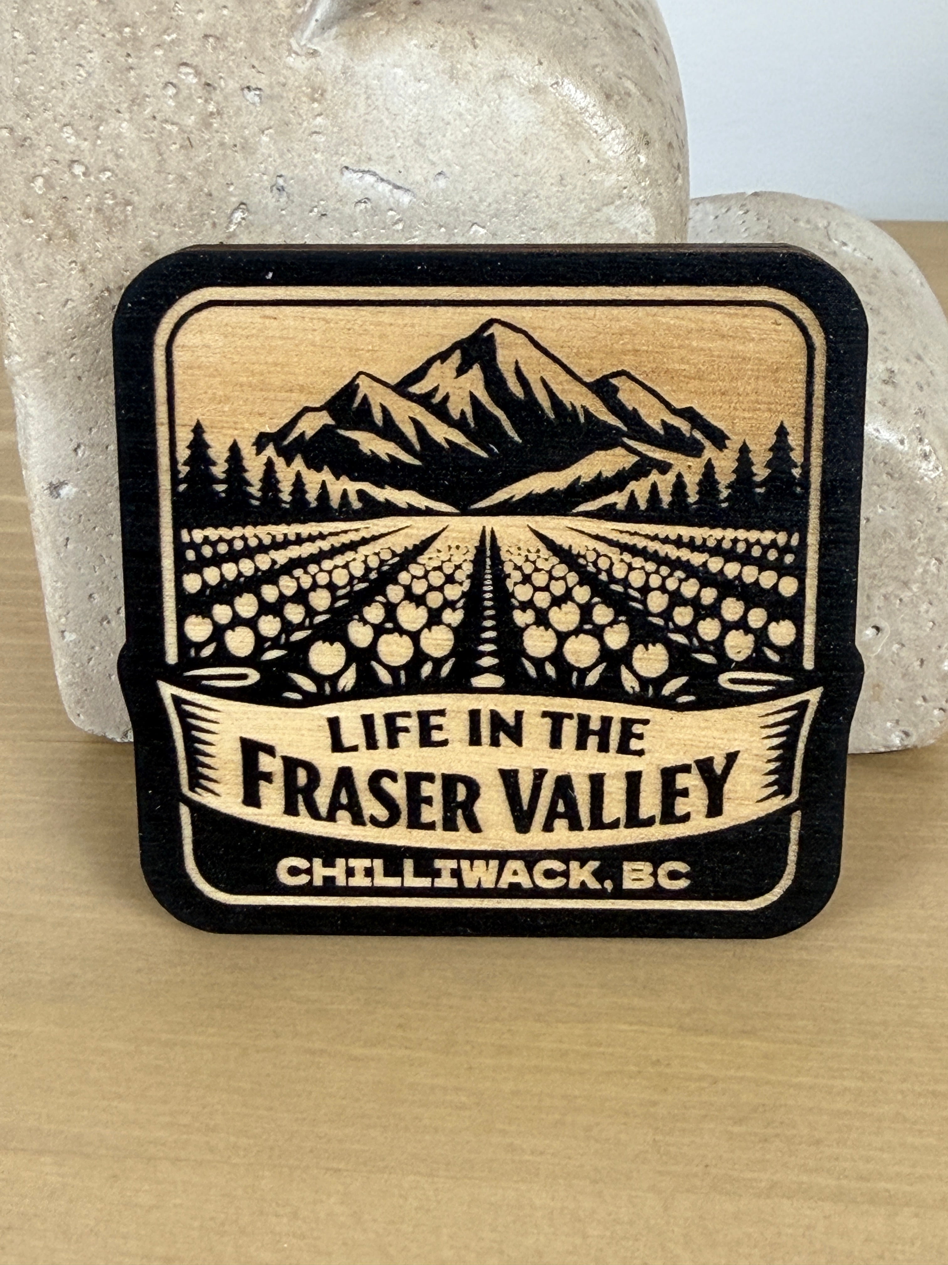 Life in the Fraser Valley Magnet - Chilliwack - Tulip Fields