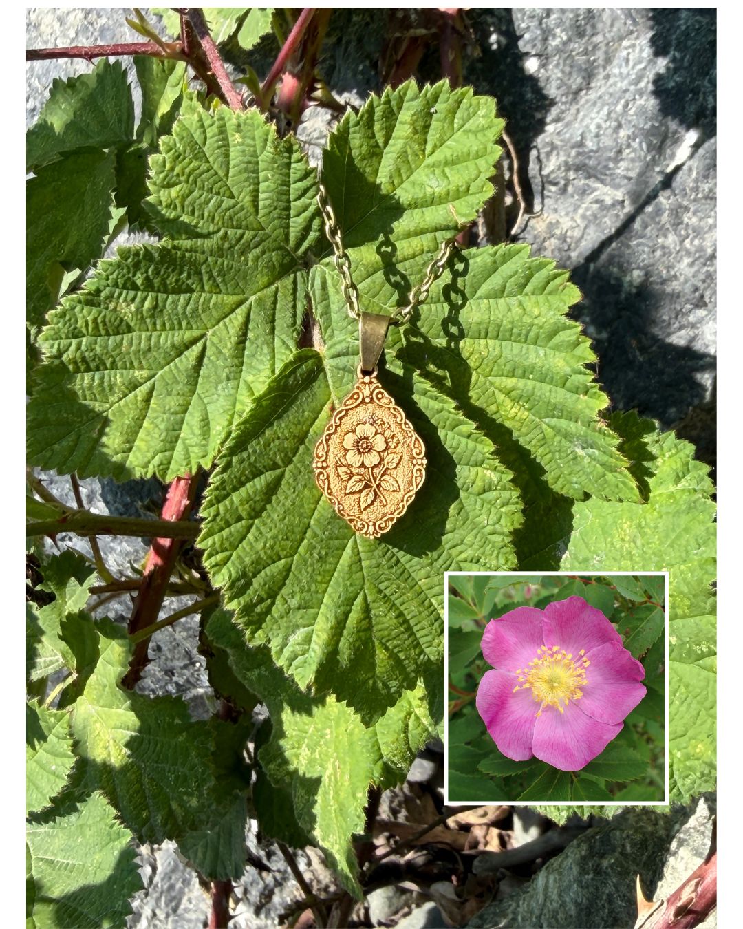 Wild Rose Pendant - Resilience, Courage and Beauty
