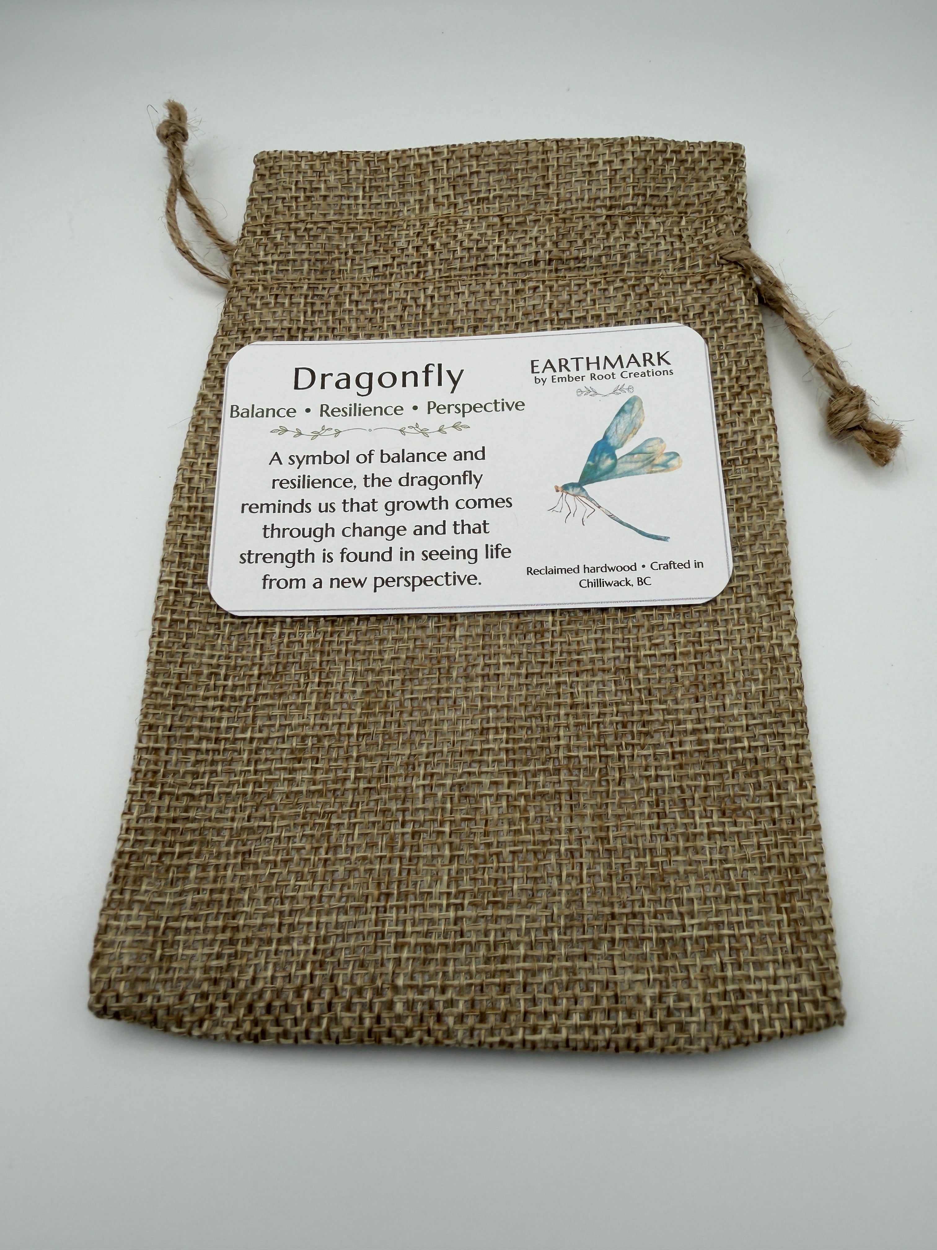 Dragonfly - Balance, Resilience and Perspective