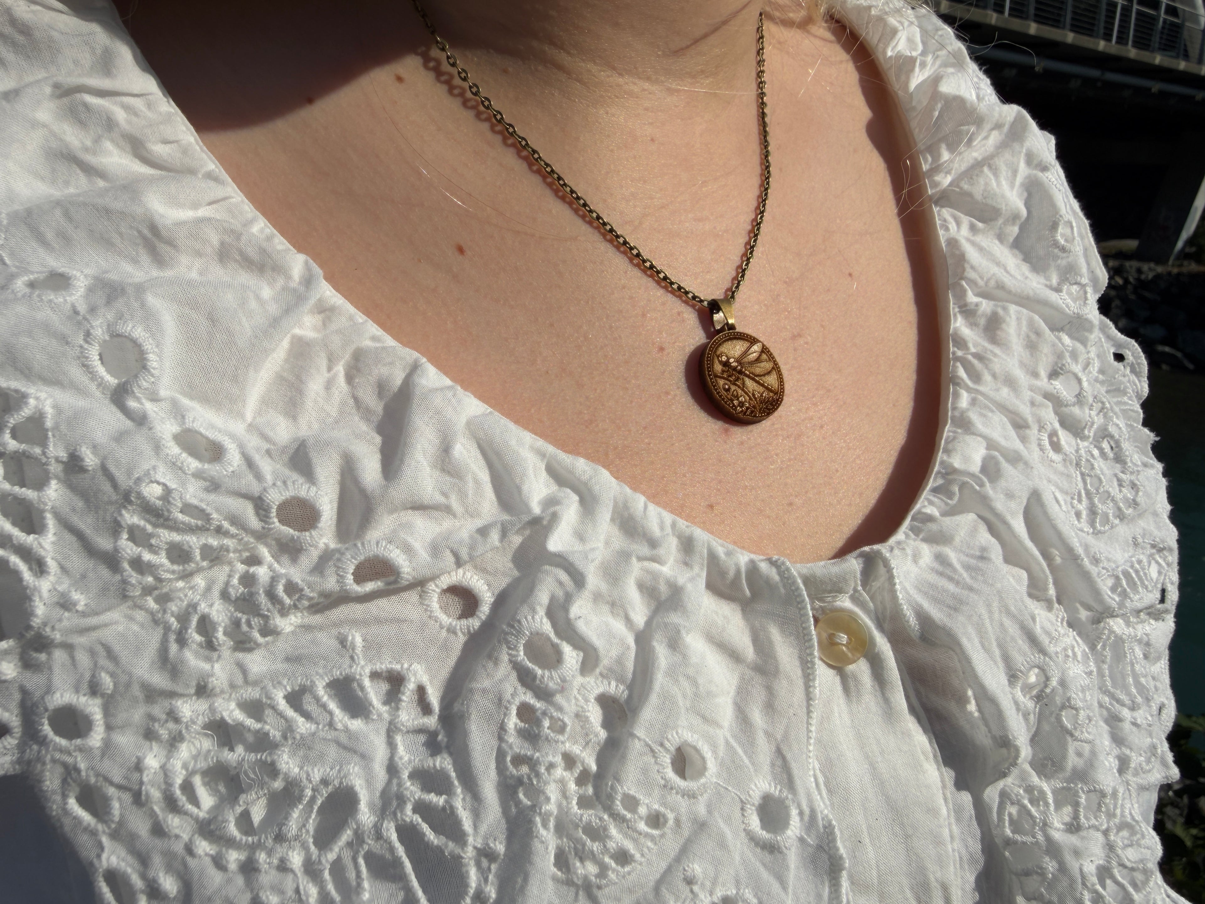 Dragonfly - Balance, Resilience and Perspective