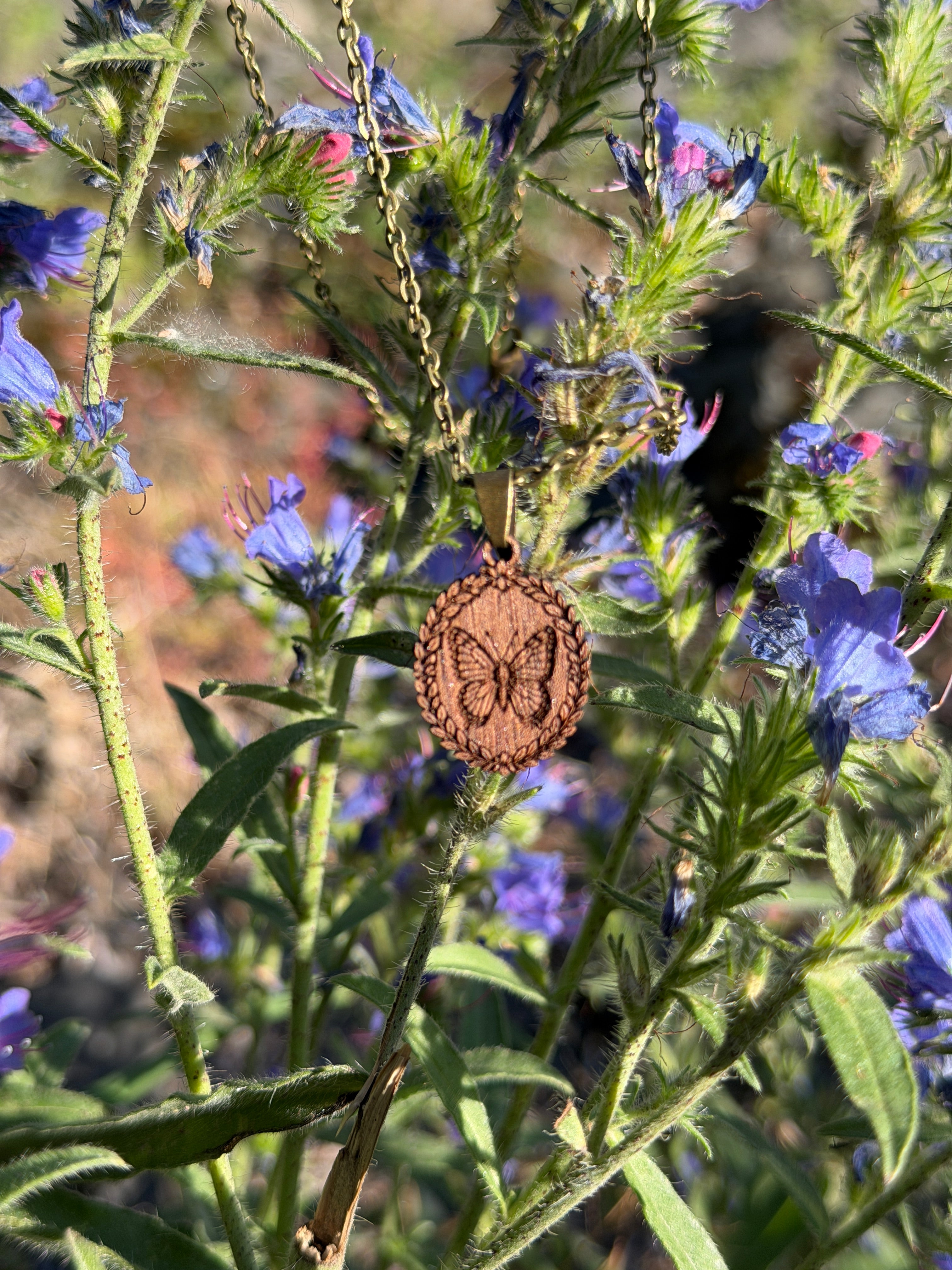 Butterfly - Transformation, Courage and Becoming
