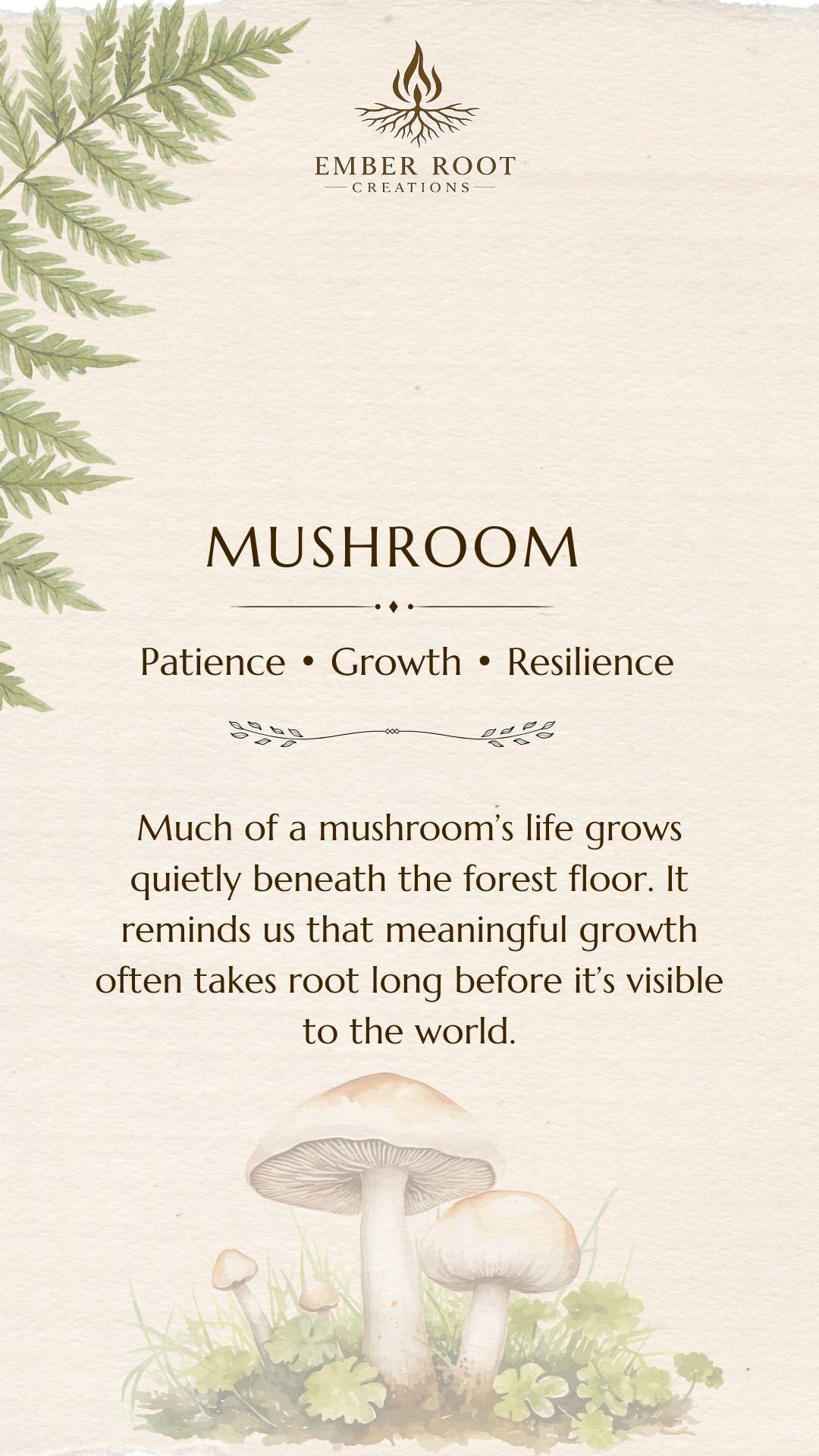 Mushroom - Patience, Growth and Resilience