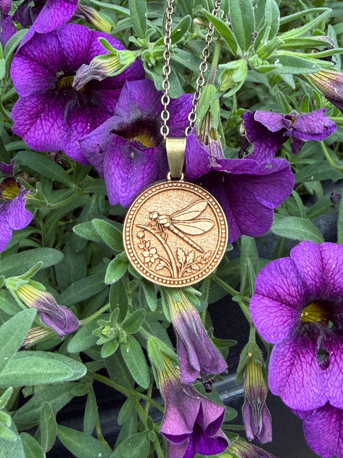 Dragonfly - Balance, Resilience and Perspective