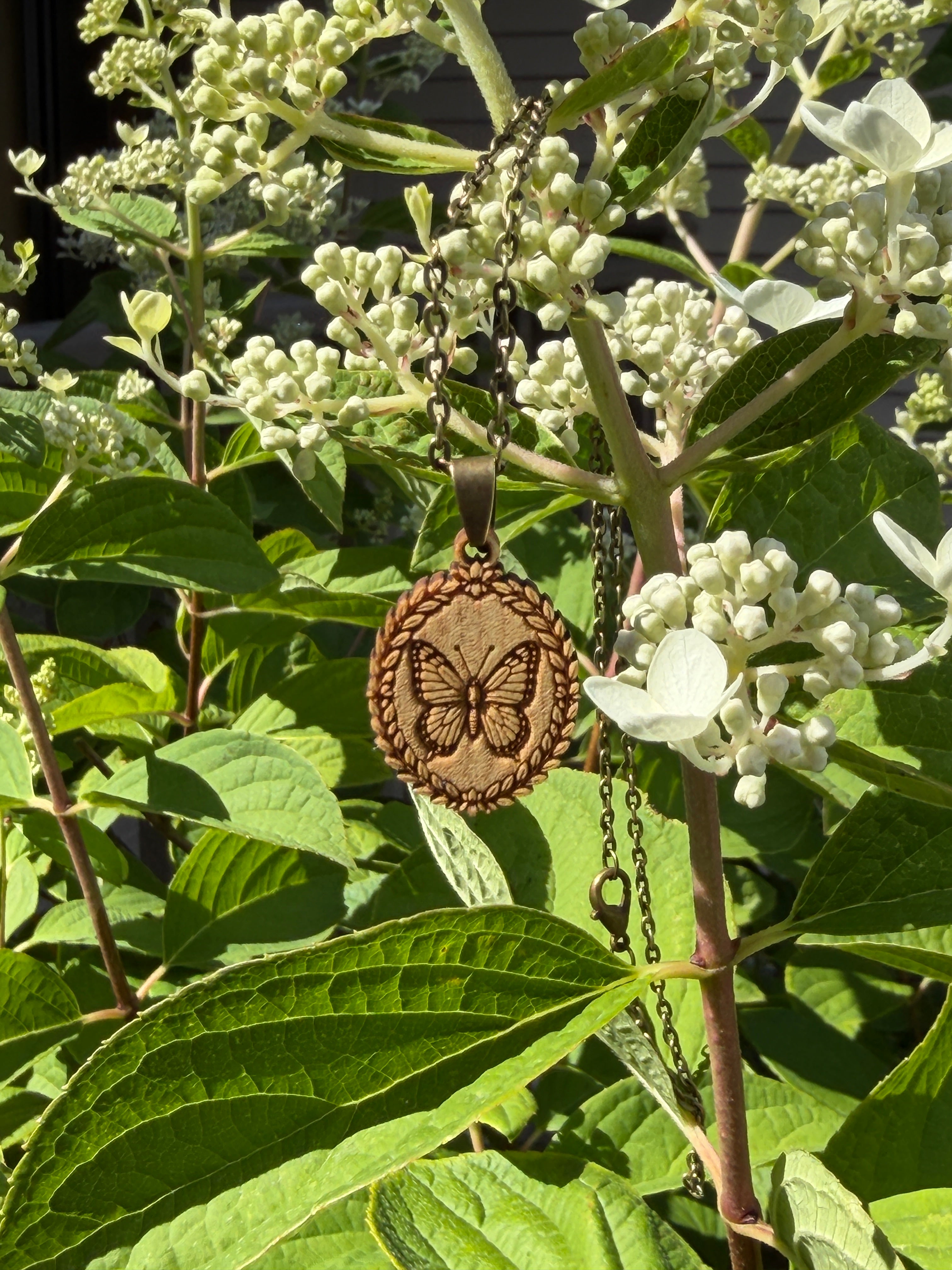 Butterfly - Transformation, Courage and Becoming